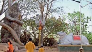 Jashpur News: कैलाश गुफा में हजारों कांवड़ियों के पहुंचने की तैयारी, इलाके में 16 हाथियों की मौजूदगी से चिंता