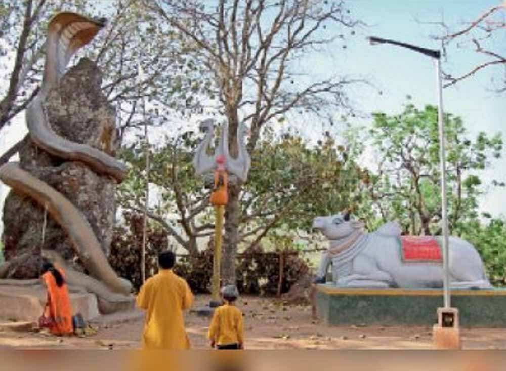 Jashpur News: कैलाश गुफा में हजारों कांवड़ियों के पहुंचने की तैयारी, इलाके में 16 हाथियों की मौजूदगी से चिंता Jashpur News: कैलाश गुफा में हजारों कांवड़ियों के पहुंचने की तैयारी, इलाके में 16 हाथियों की मौजूदगी से चिंता