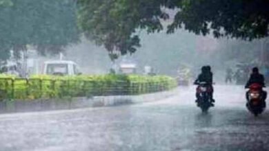 छत्तीसगढ़ में बदला मौसम, रायपुर-मुंगेली में जमकर बरसे बादल; उत्तर CG में भारी बारिश की चेतावनी