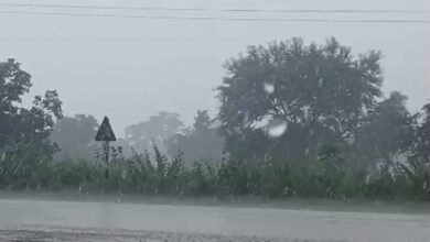 छत्तीसगढ़ में मानसून को लेकर बड़ा अपडेट, 3 दिन बाद फिर बढ़ेगी बारिश; आज रायपुर समेत कई क्षेत्रों में बरसेंगे बादल