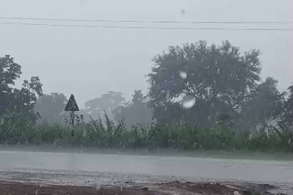 छत्तीसगढ़ में मानसून को लेकर बड़ा अपडेट, 3 दिन बाद फिर बढ़ेगी बारिश; आज रायपुर समेत कई क्षेत्रों में बरसेंगे बादल