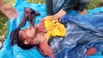 ATR के प्रतिबंधित इलाके में बाघिन ने युवक को बनाया शिकार, हमले में मौत