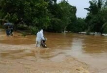 Bastar में बारिश का कहर! इंद्रावती नदी खतरे के निशान से ऊपर, नदी-नाले उफान पर