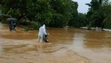 Bastar में बारिश का कहर! इंद्रावती नदी खतरे के निशान से ऊपर, नदी-नाले उफान पर