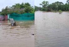 इंद्रावती नदी का बढ़ा जलस्तर, लगातार बारिश से CG के दर्जनों गांवों का संपर्क कटा