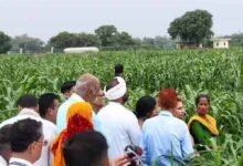 अम्बिकापुर के किसानों को मिली बड़ी मदद, राष्ट्रीय खाद्य सुरक्षा एवं पोषण मिशन से बढ़ा आत्मविश्वास