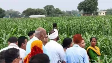 अम्बिकापुर के किसानों को मिली बड़ी मदद, राष्ट्रीय खाद्य सुरक्षा एवं पोषण मिशन से बढ़ा आत्मविश्वास