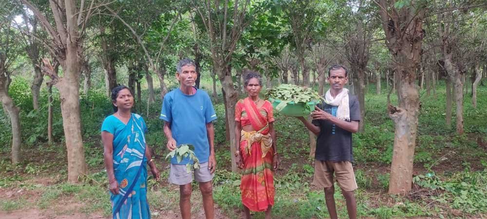 स्वस्थ डिम्ब समूह योजना से हितग्राहियों को मिला 1.40 लाख रुपये की सब्सिडी का लाभ स्वस्थ डिम्ब समूह योजना से हितग्राहियों को मिला 1.40 लाख रुपये की सब्सिडी का लाभ