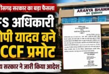 IFS अधिकारी ओपी यादव बने प्रधान मुख्य वन संरक्षक, राज्य सरकार ने जारी किया पदोन्नति आदेश