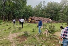 मलेरिया के खतरे पर सरकार सतर्क: कोटा-लोरमी के जंगलों में स्वास्थ्य अमले का मैदानी निरीक्षण, हर बुखार मरीज की जांच के निर्देश
