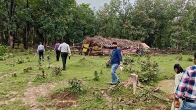 मलेरिया के खतरे पर सरकार सतर्क: कोटा-लोरमी के जंगलों में स्वास्थ्य अमले का मैदानी निरीक्षण, हर बुखार मरीज की जांच के निर्देश