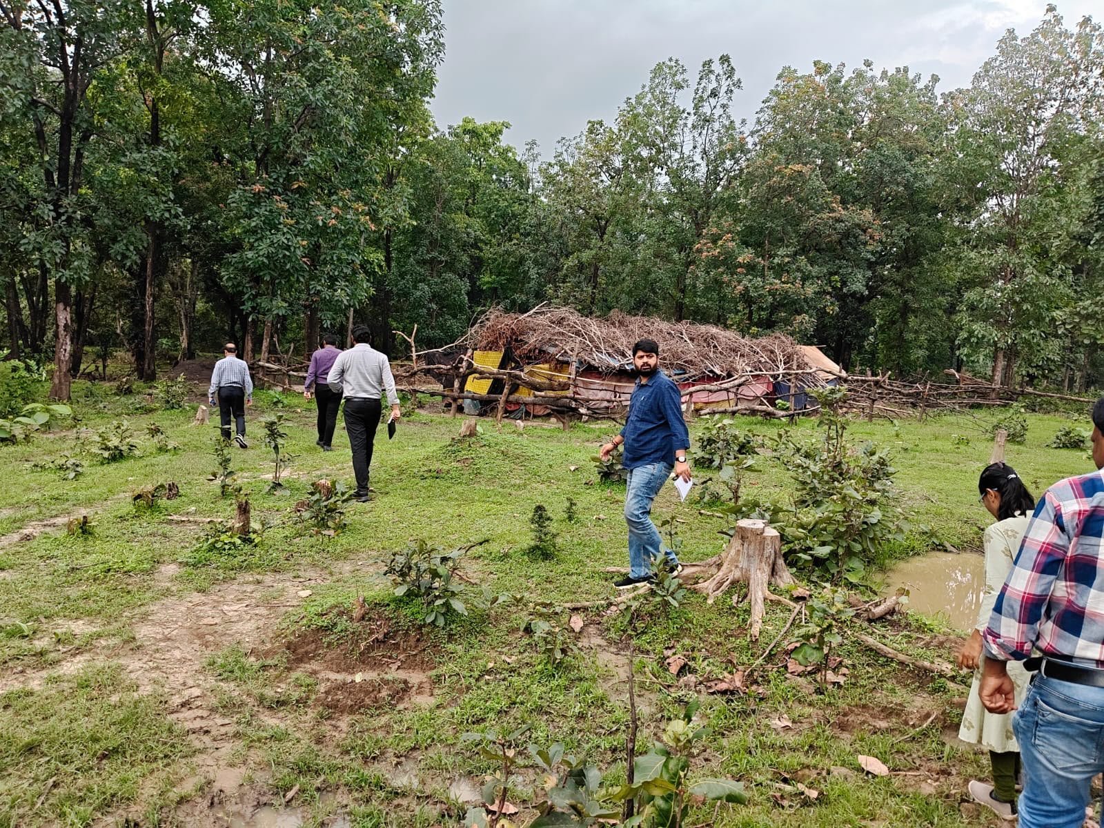 मलेरिया के खतरे पर सरकार सतर्क: कोटा-लोरमी के जंगलों में स्वास्थ्य अमले का मैदानी निरीक्षण, हर बुखार मरीज की जांच के निर्देश