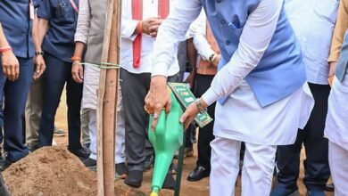 ‘एक पेड़ माँ के नाम’ का संदेश देकर CM ने किया वन महोत्सव का शुभारंभ: 15 एकड़ में 2500 पीपल, प्रदेशभर में चलेगा अभियान