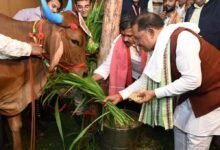 विशेष लेख: गेड़ी, कृषि औजार और पशुधन पूजा की परंपरा, CM साय ने किसान हितैषी फैसलों से हरेली के उत्सव को बनाया और खास