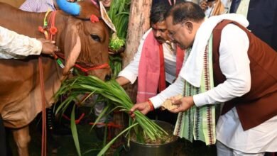 विशेष लेख: गेड़ी, कृषि औजार और पशुधन पूजा की परंपरा, CM साय ने किसान हितैषी फैसलों से हरेली के उत्सव को बनाया और खास