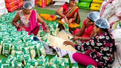विष्णुभोग चावल से जीपीएम को नई पहचान: 1500 किसान 600 एकड़ में कर रहे खेती, महिलाओं ने 2 टन चावल बेचकर कमाया 1 लाख