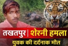 तखतपुर में शेरनी के हमले से युवक की मौत, जंगल में शव के साथ भी किया नुकसान, शावक के साथ मौजूद होने से ग्रामीणों में डर