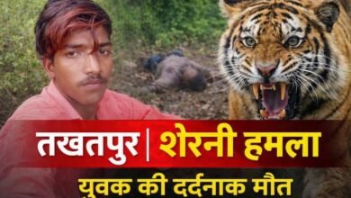 तखतपुर में शेरनी के हमले से युवक की मौत, जंगल में शव के साथ भी किया नुकसान, शावक के साथ मौजूद होने से ग्रामीणों में डर
