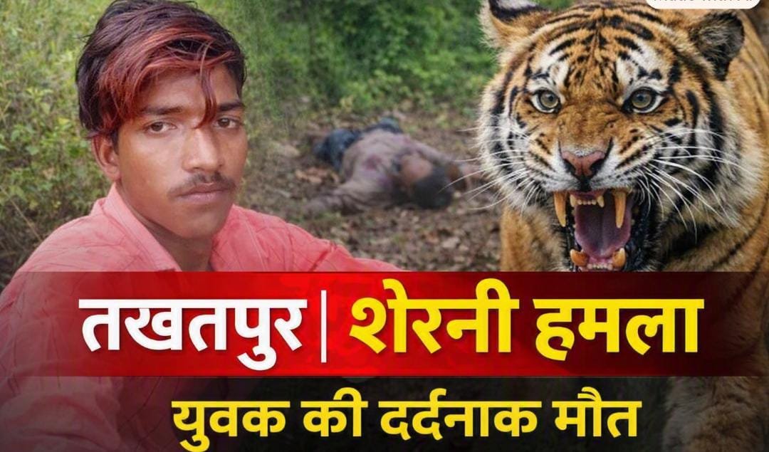 तखतपुर में शेरनी के हमले से युवक की मौत, जंगल में शव के साथ भी किया नुकसान, शावक के साथ मौजूद होने से ग्रामीणों में डर