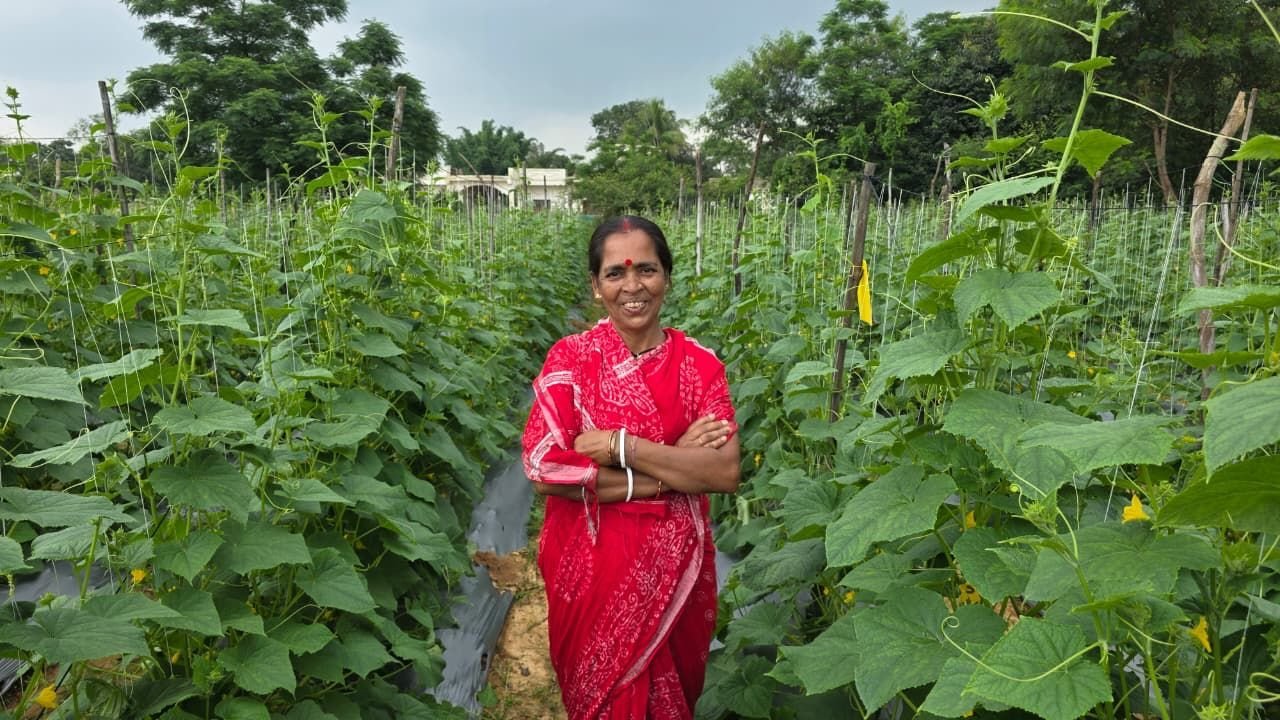 खेती के लिए नहीं थी पूंजी, बिहान से मिला 1 लाख का ऋण : सुभद्रा ने खीरे की खेती शुरू कर आत्मनिर्भरता की ओर बढ़ाया कदम