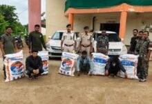 ओडिशा से आ रही 68 किलो गांजा की खेप पर पुलिस का शिकंजा: दो कारें जब्त, 3 तस्कर गिरफ्तार
