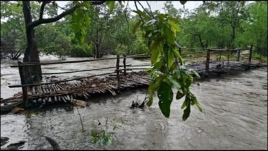 अबूझमाड़ के 14 गांवों को मानसून में मिली राहत: उफनते नालों पर ITBP ने बनाए अस्थायी पुल, फिर शुरू हुई सुरक्षित आवाजाही