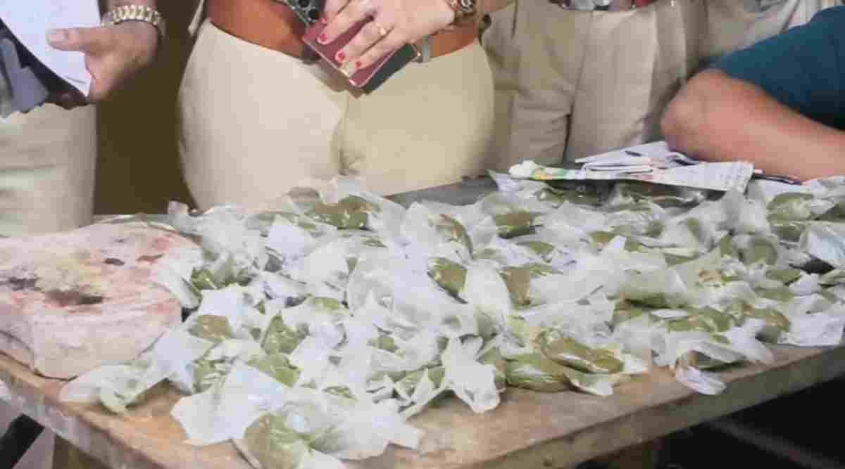 भांग की अवैध फैक्ट्री पर बड़ी कार्रवाई,  लाखों का माल जब्त, इंदौर में घर से चल रहा था अवैध कारोबार