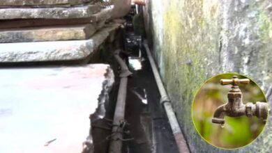 80% शहर पी रहा गंदी नालियों से गुजरता पानी! NGT सख्त, लापरवाह अफसरों को हटाने और 30 दिन में रिपोर्ट देने का अल्टीमेटम