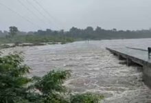 नर्मदा का बढ़ा जलस्तर, बरगी बांध के 13 गेट खोलकर छोड़ा जा रहा पानी