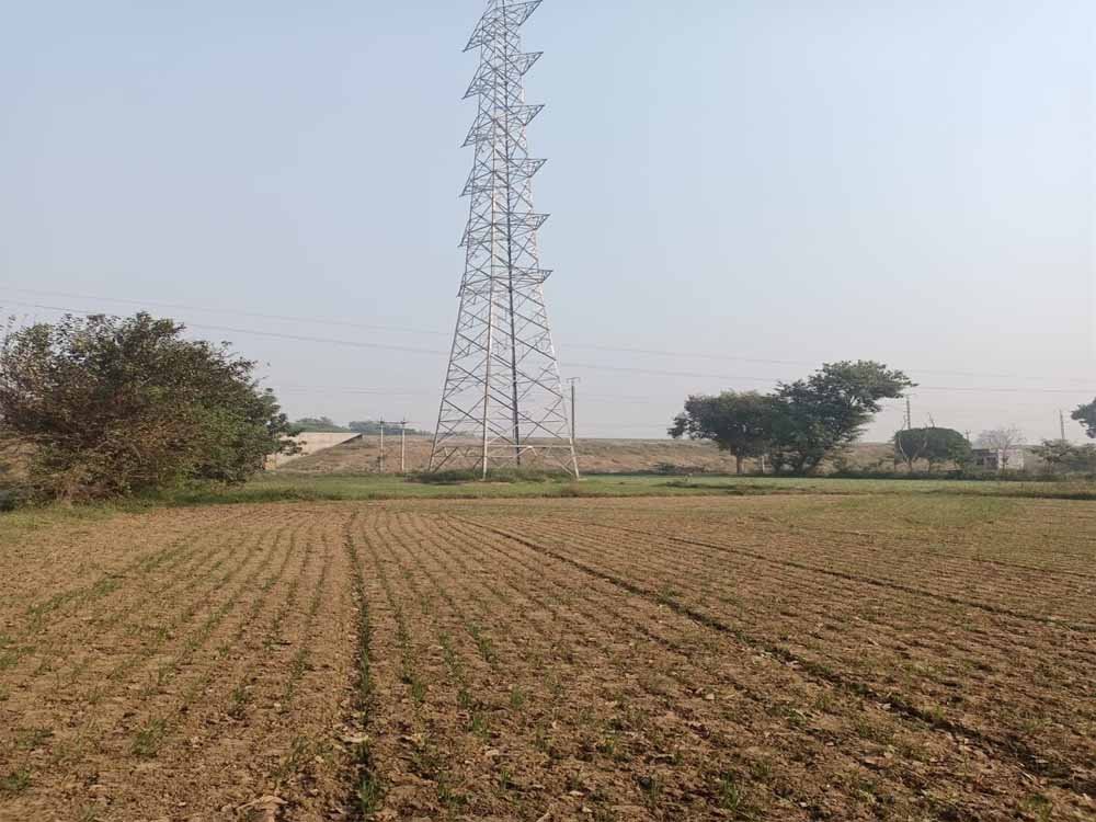 Rewa News: 88 घंटे की भूख हड़ताल के बाद मानी बात, आधी रात कलेक्टर ने दिया आश्वासन