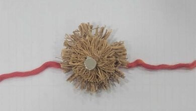बहनों के प्यार से महकेगी भाइयों की कलाई : वन मंत्री  केदार कश्यप