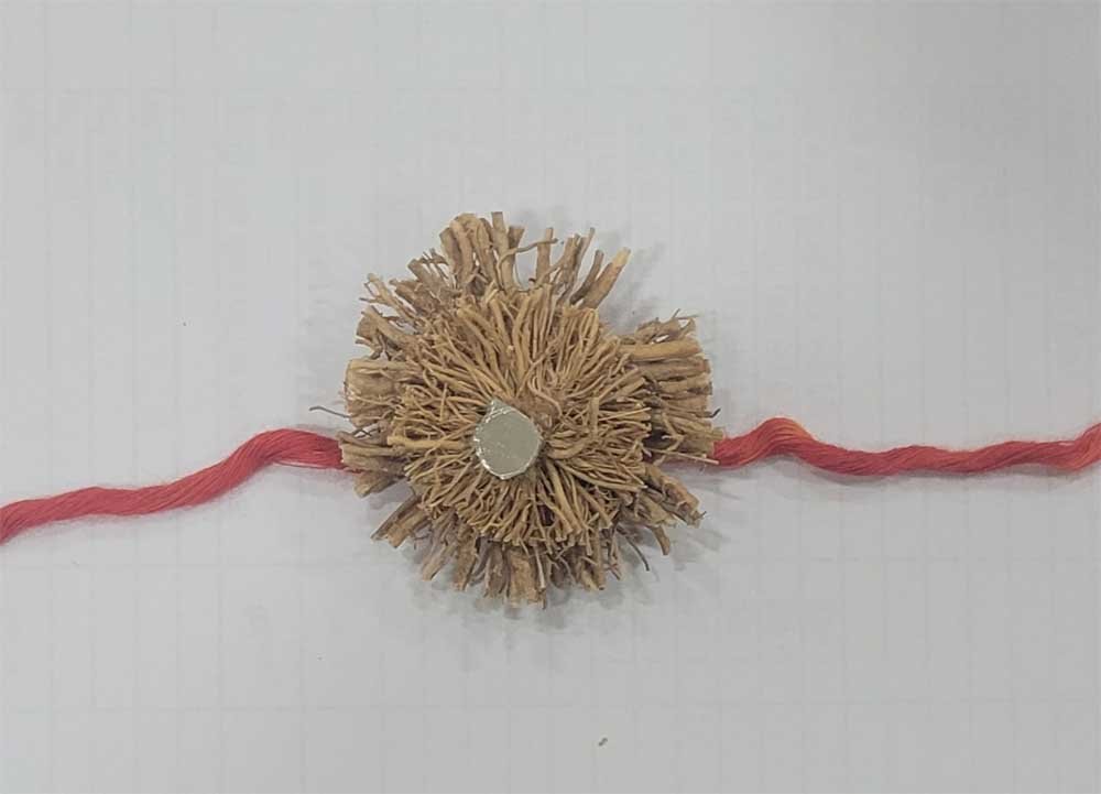 बहनों के प्यार से महकेगी भाइयों की कलाई : वन मंत्री  केदार कश्यप