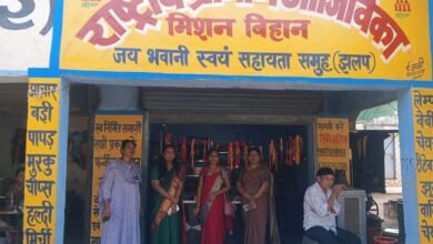 सीईओ अनुपमा आनंद ने झलप में पीएम सूर्य घर योजना और बिहान समूह की आजीविका गतिविधियों का किया निरीक्षण