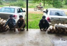 अंतर्राज्यीय गांजा तस्करी पर प्रहार : ओडिशा से दो कार में भरकर ला रहे थे 62 लाख का सूखा नशा, 3 गिरफ्तार