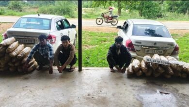 अंतर्राज्यीय गांजा तस्करी पर प्रहार : ओडिशा से दो कार में भरकर ला रहे थे 62 लाख का सूखा नशा, 3 गिरफ्तार