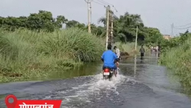 बिहार के 12 जिलों में बारिश का यलो अलर्ट:12 अगस्त को कई जिलों में हैवी रेन की चेतावनी; प्रदेश में 35% कम बारिश बिहार के 12 जिलों में बारिश का यलो अलर्ट:12 अगस्त को कई जिलों में हैवी रेन की चेतावनी; प्रदेश में 35% कम बारिश