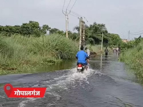बिहार के 12 जिलों में बारिश का यलो अलर्ट:12 अगस्त को कई जिलों में हैवी रेन की चेतावनी; प्रदेश में 35% कम बारिश