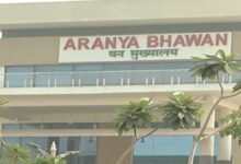 IFS Transfer Breaking: 2024 बैच के प्रशिक्षु वन सेवा अधिकारियों को मिली पहली फील्ड पोस्टिंग, जानें किसे मिला कौन-सा वनमंडल