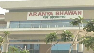 IFS Transfer Breaking: 2024 बैच के प्रशिक्षु वन सेवा अधिकारियों को मिली पहली फील्ड पोस्टिंग, जानें किसे मिला कौन-सा वनमंडल