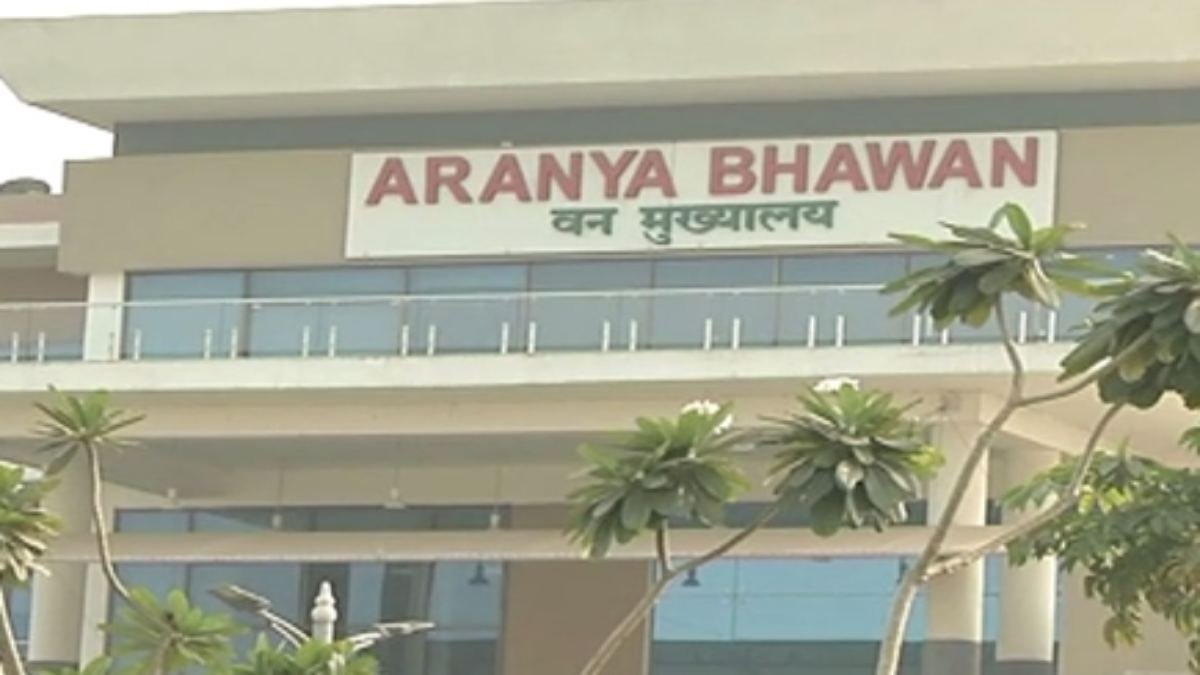 IFS Transfer Breaking: 2024 बैच के प्रशिक्षु वन सेवा अधिकारियों को मिली पहली फील्ड पोस्टिंग, जानें किसे मिला कौन-सा वनमंडल IFS Transfer Breaking: 2024 बैच के प्रशिक्षु वन सेवा अधिकारियों को मिली पहली फील्ड पोस्टिंग, जानें किसे मिला कौन-सा वनमंडल