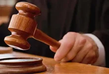 अस्पताल से गायब हुई फिमेल डॉग, मिली लाश; कोर्ट का अस्पताल को आदेश… इतना देना होगा हर्जाना
