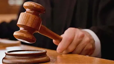 अस्पताल से गायब हुई फिमेल डॉग, मिली लाश; कोर्ट का अस्पताल को आदेश… इतना देना होगा हर्जाना