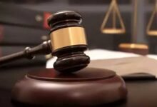 रेड-क्राउंड रूफ कछुआ तस्करी मामले में आरोपियों को झटका, हाईकोर्ट ने अपील की खारिज