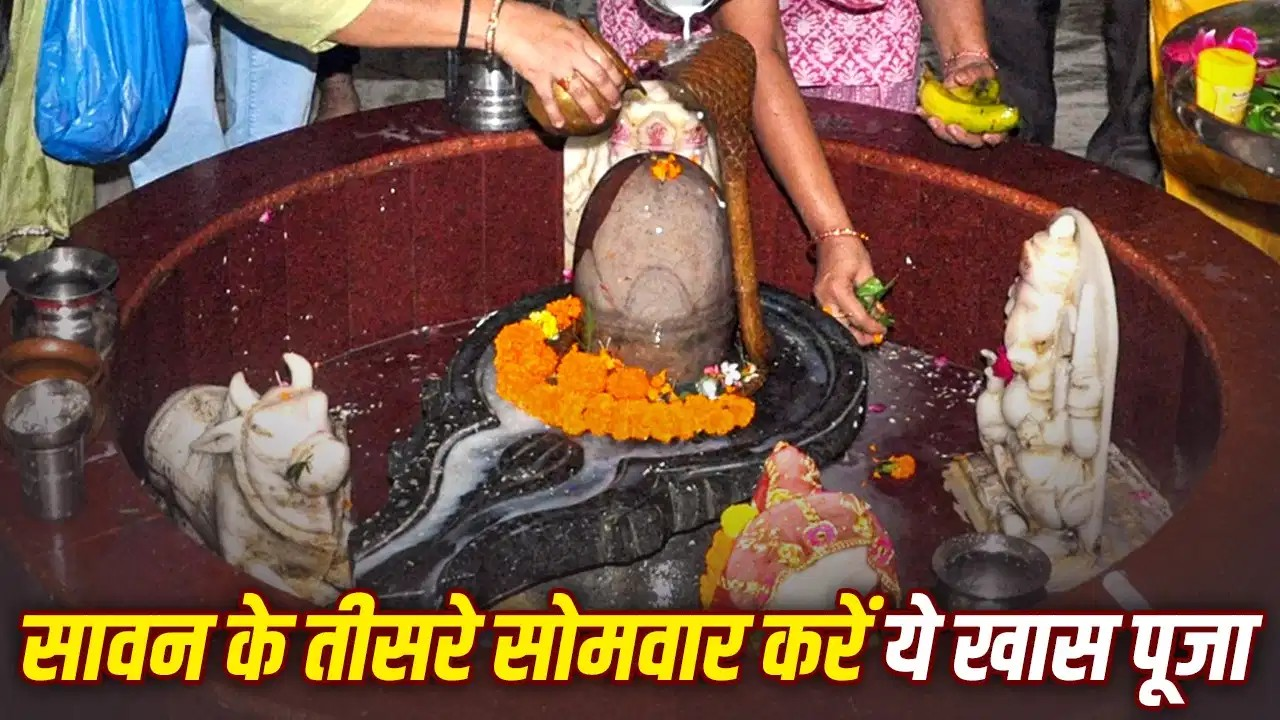 सावन के तीसरे सोमवार पर बनेगा दुर्लभ संयोग, शिवजी और नाग देवता की पूजा से मिलेगा विशेष फल! सावन के तीसरे सोमवार पर बनेगा दुर्लभ संयोग, शिवजी और नाग देवता की पूजा से मिलेगा विशेष फल!