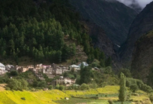 OMG: न पेड़, न नेटवर्क, फिर भी स्वर्ग से सुंदर है हिमाचल का ये गांव, जहां गोबर से चलती है जिंदगी