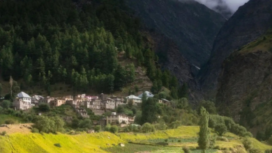 OMG: न पेड़, न नेटवर्क, फिर भी स्वर्ग से सुंदर है हिमाचल का ये गांव, जहां गोबर से चलती है जिंदगी