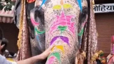 जयपुर में आज ट्रैफिक डायवर्ट रहेगा:बसों का रूट भी बदला, डिग्गी कल्याण की पदयात्रा निकलेगी जयपुर में आज ट्रैफिक डायवर्ट रहेगा:बसों का रूट भी बदला, डिग्गी कल्याण की पदयात्रा निकलेगी