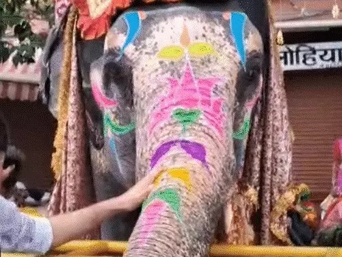 जयपुर में आज ट्रैफिक डायवर्ट रहेगा:बसों का रूट भी बदला, डिग्गी कल्याण की पदयात्रा निकलेगी