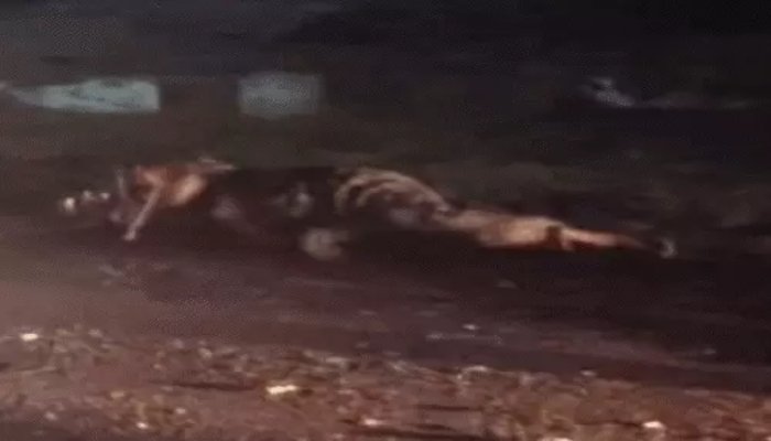 मुंगेली सड़क हादसे में CMO गिरफ्तार, बाइक सवारों को टक्कर मारने के आरोप में भेजा गया जेल मुंगेली सड़क हादसे में CMO गिरफ्तार, बाइक सवारों को टक्कर मारने के आरोप में भेजा गया जेल
