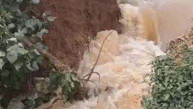 छत्तीसगढ़ में बारिश का अलर्ट, बलरामपुर में बांध टूटा; खेतों में भरा पानी छत्तीसगढ़ में बारिश का अलर्ट, बलरामपुर में बांध टूटा; खेतों में भरा पानी